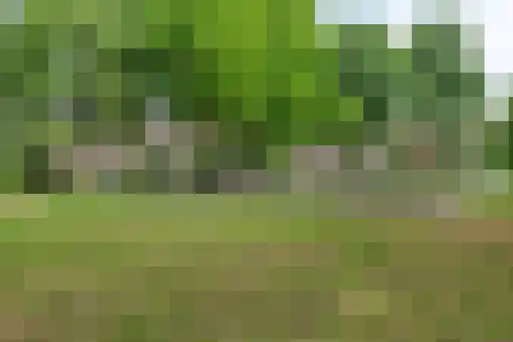 Beerze 5 Kaatsheuvel thumbnail 28