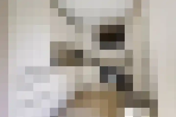 Beerze 55 Wijk bij Duurstede thumbnail 10