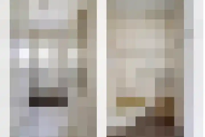 Beerze 55 Wijk bij Duurstede thumbnail 13