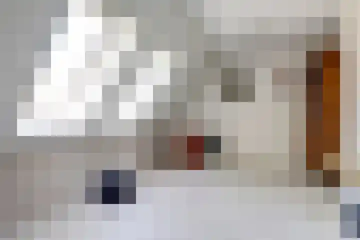Beerze 55 Wijk bij Duurstede thumbnail 15