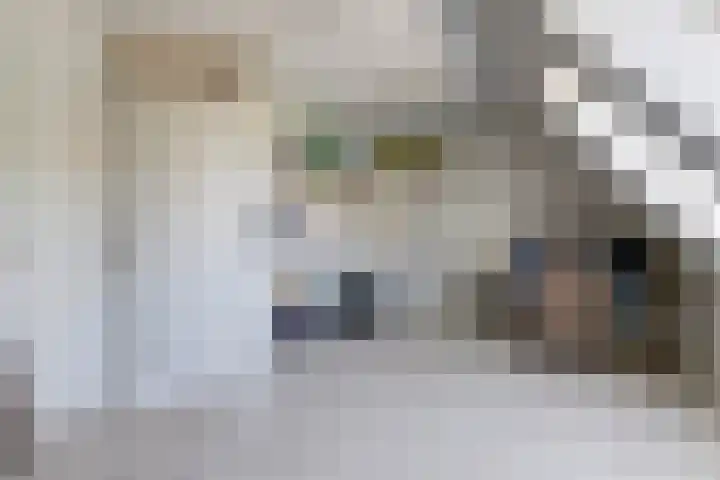 Beerze 55 Wijk bij Duurstede thumbnail 16