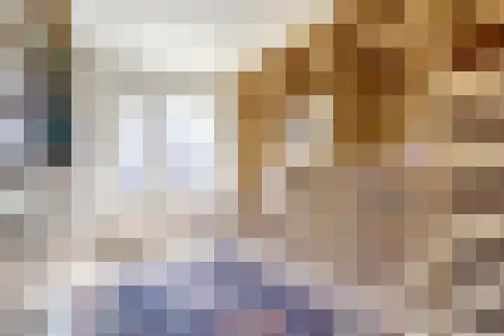 Beerze 55 Wijk bij Duurstede thumbnail 17