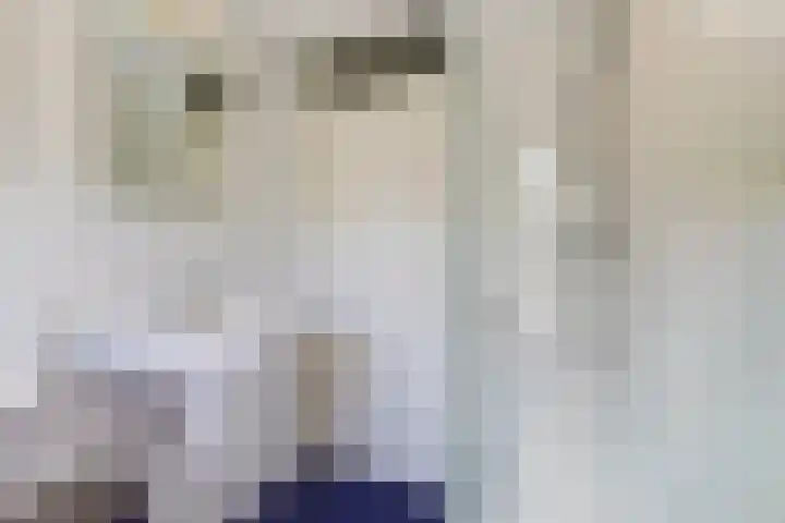 Beerze 55 Wijk bij Duurstede thumbnail 20