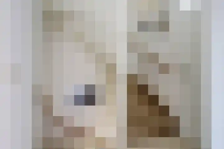 Beerze 55 Wijk bij Duurstede thumbnail 22