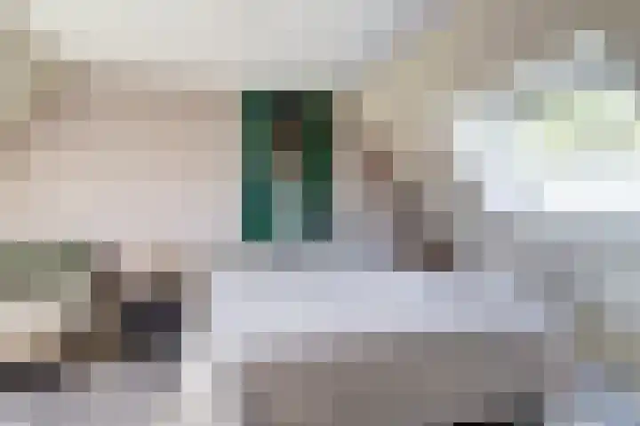 Beerze 55 Wijk bij Duurstede thumbnail 24