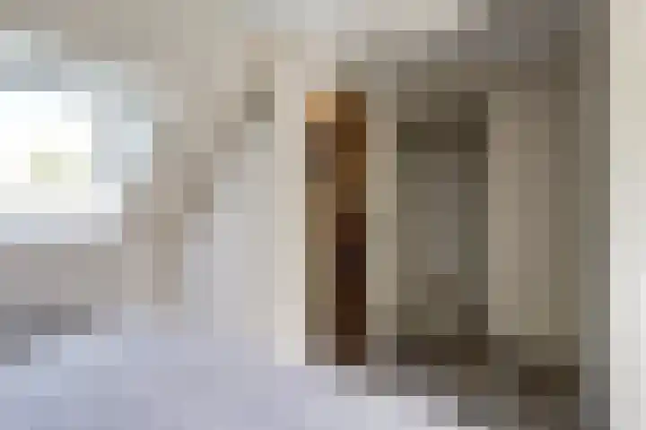 Beerze 55 Wijk bij Duurstede thumbnail 26