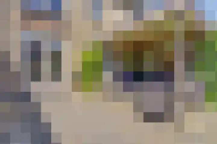 Beerze 55 Wijk bij Duurstede thumbnail 28