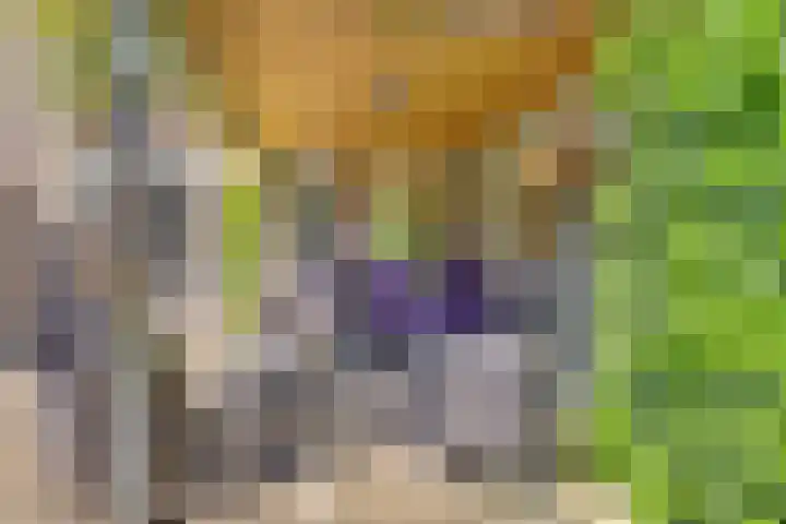 Beerze 55 Wijk bij Duurstede thumbnail 29