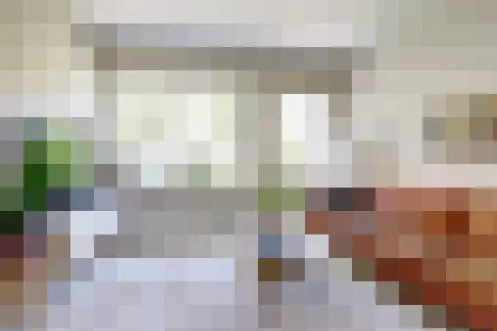 Beerze 55 Wijk bij Duurstede foto 3