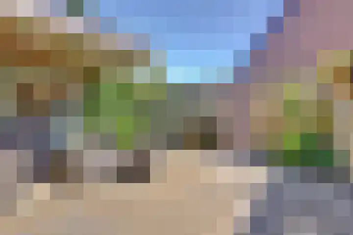 Beerze 55 Wijk bij Duurstede thumbnail 30