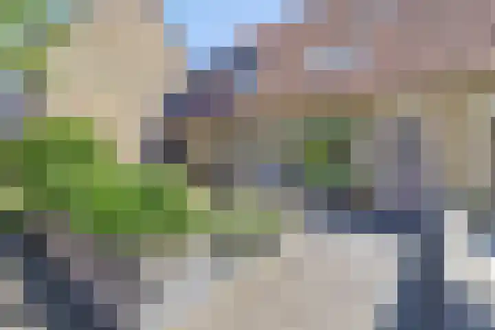 Beerze 55 Wijk bij Duurstede thumbnail 32