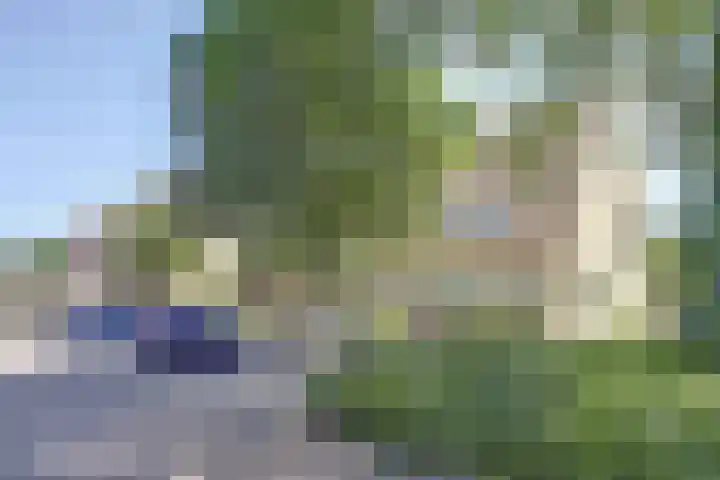 Beerze 55 Wijk bij Duurstede thumbnail 33