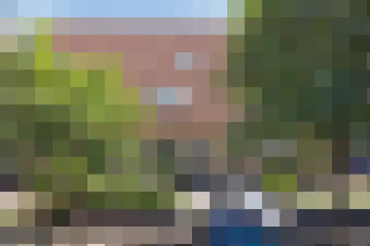 Beerze 55 Wijk bij Duurstede thumbnail 34
