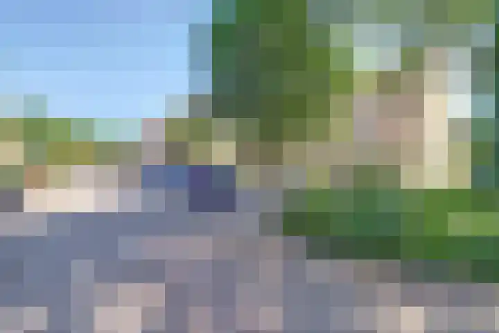 Beerze 55 Wijk bij Duurstede thumbnail 35