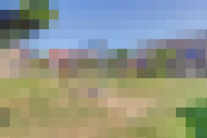 Beerze 55 Wijk bij Duurstede thumbnail 36