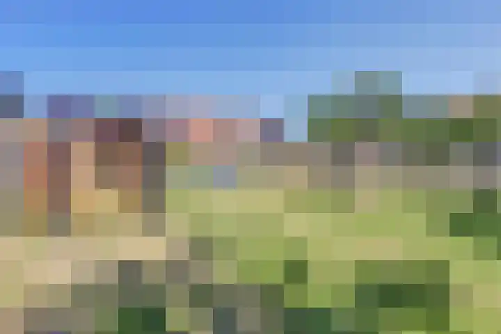Beerze 55 Wijk bij Duurstede thumbnail 37