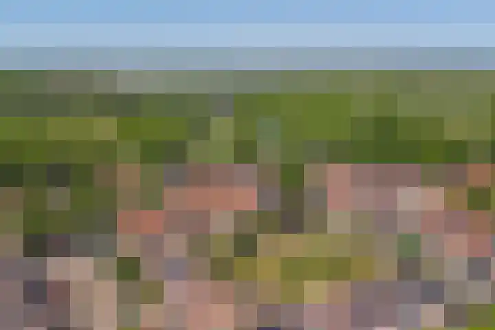 Beerze 55 Wijk bij Duurstede thumbnail 38