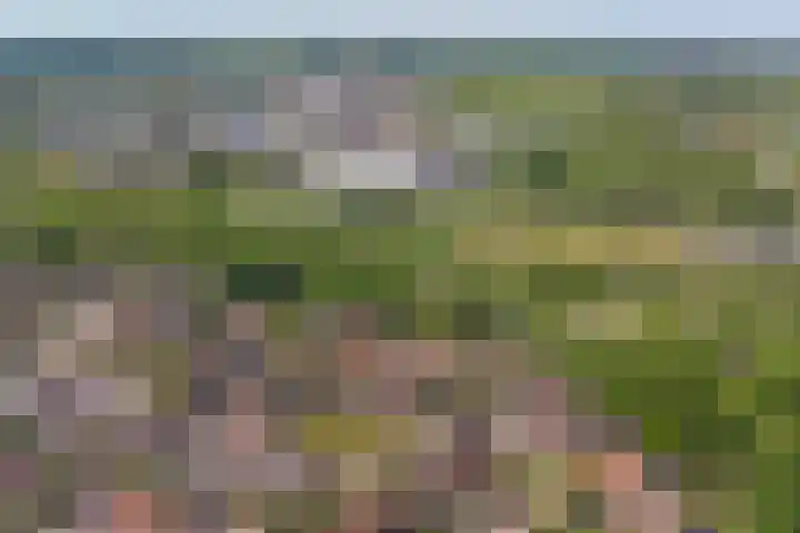 Beerze 55 Wijk bij Duurstede thumbnail 39