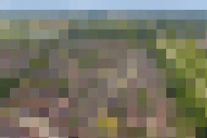 Beerze 55 Wijk bij Duurstede thumbnail 40