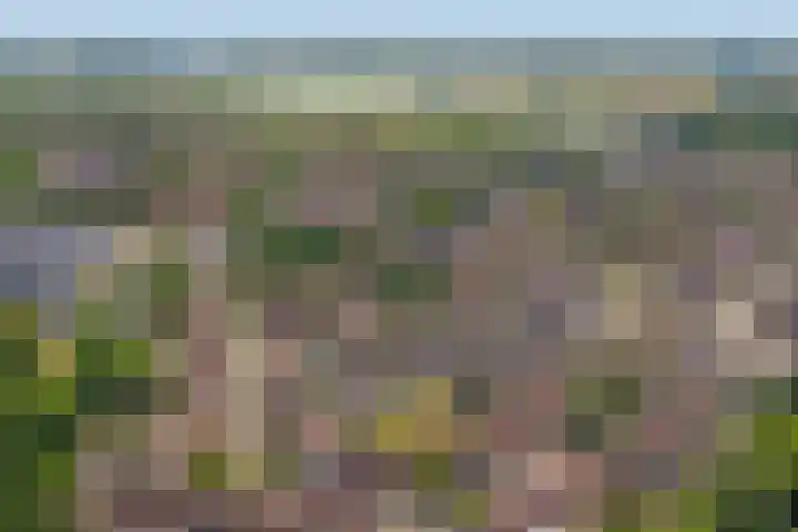 Beerze 55 Wijk bij Duurstede thumbnail 41