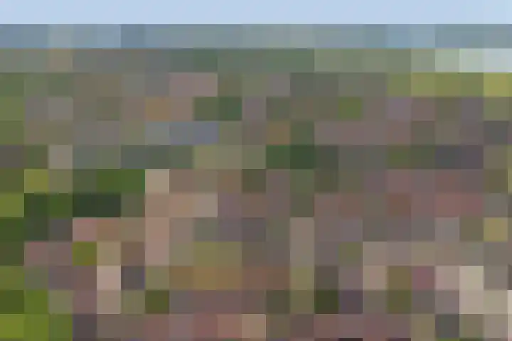 Beerze 55 Wijk bij Duurstede thumbnail 42