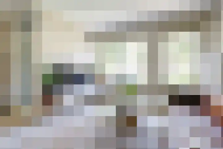 Beerze 55 Wijk bij Duurstede thumbnail 5