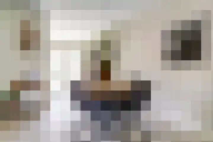 Beerze 55 Wijk bij Duurstede thumbnail 6