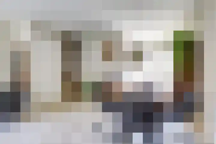 Beerze 55 Wijk bij Duurstede thumbnail 7