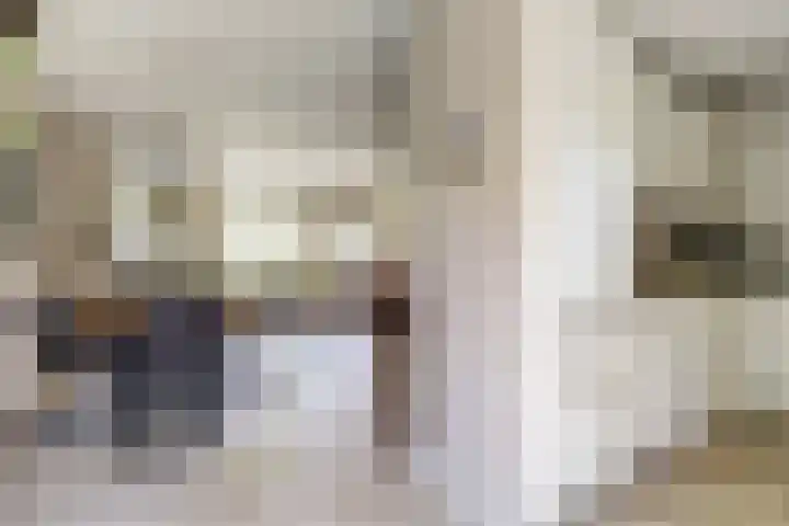 Beerze 55 Wijk bij Duurstede thumbnail 8