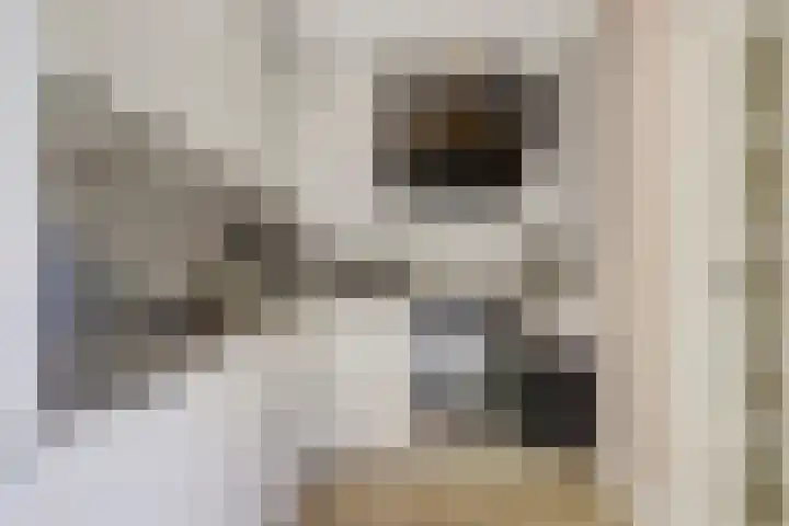Beerze 55 Wijk bij Duurstede thumbnail 9