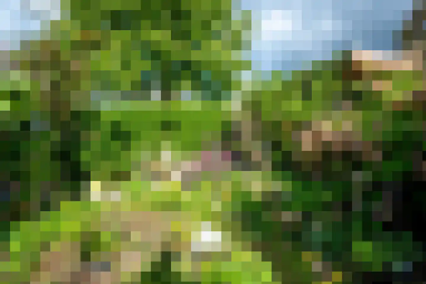 Beerze 96 Wijk bij Duurstede thumbnail 10