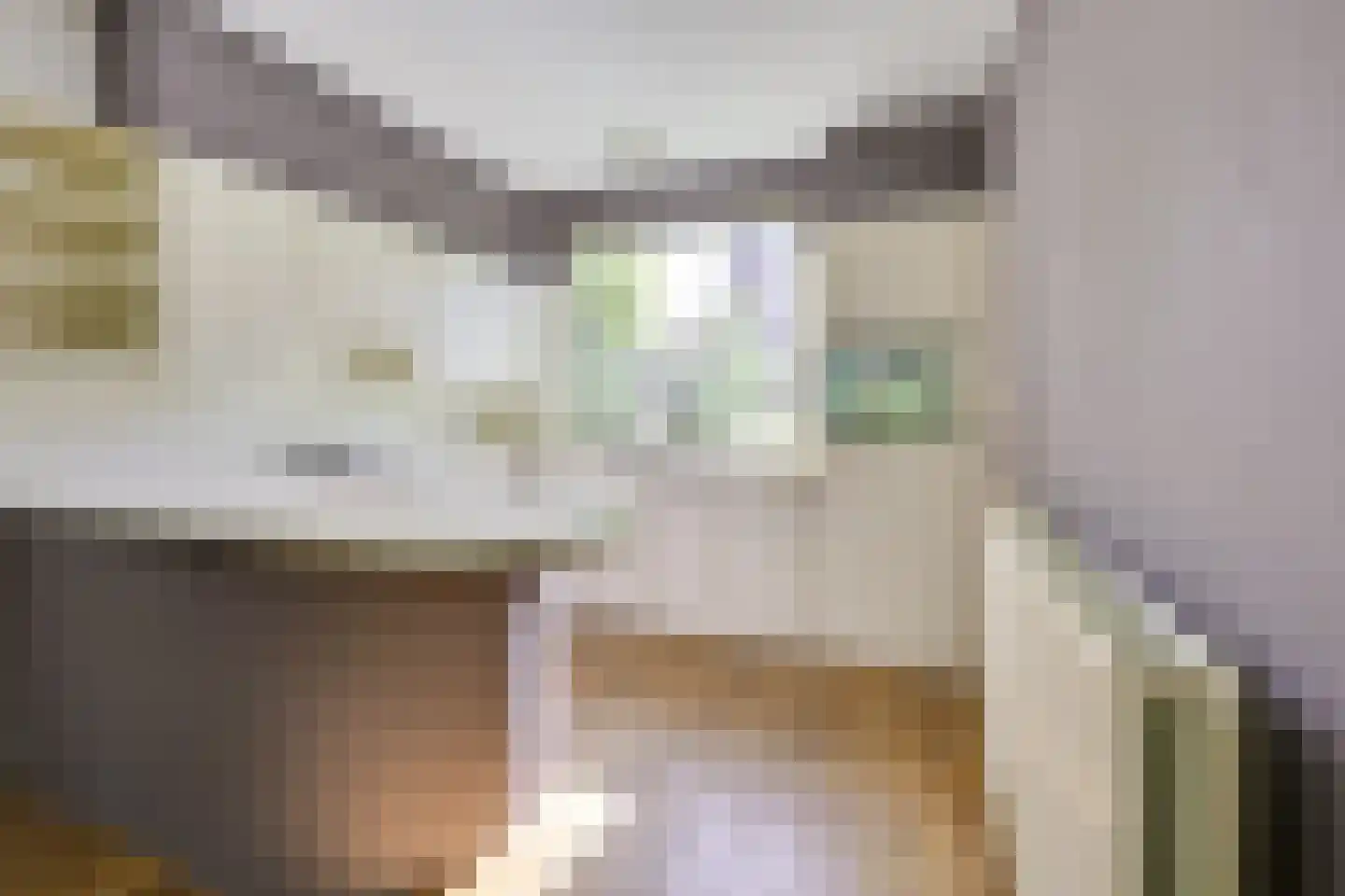 Beerze 96 Wijk bij Duurstede thumbnail 18
