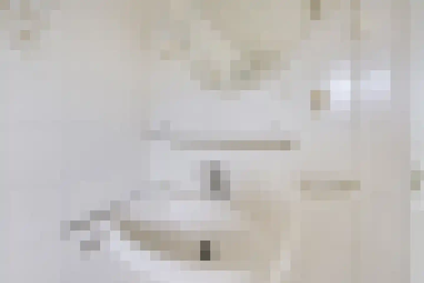 Beerze 96 Wijk bij Duurstede thumbnail 28