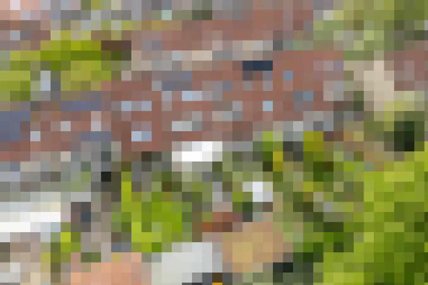 Beerze 96 Wijk bij Duurstede foto 3