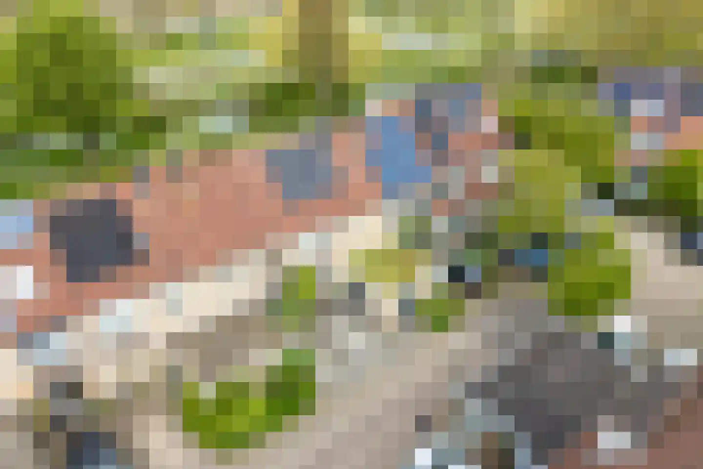 Beerze 96 Wijk bij Duurstede thumbnail 37