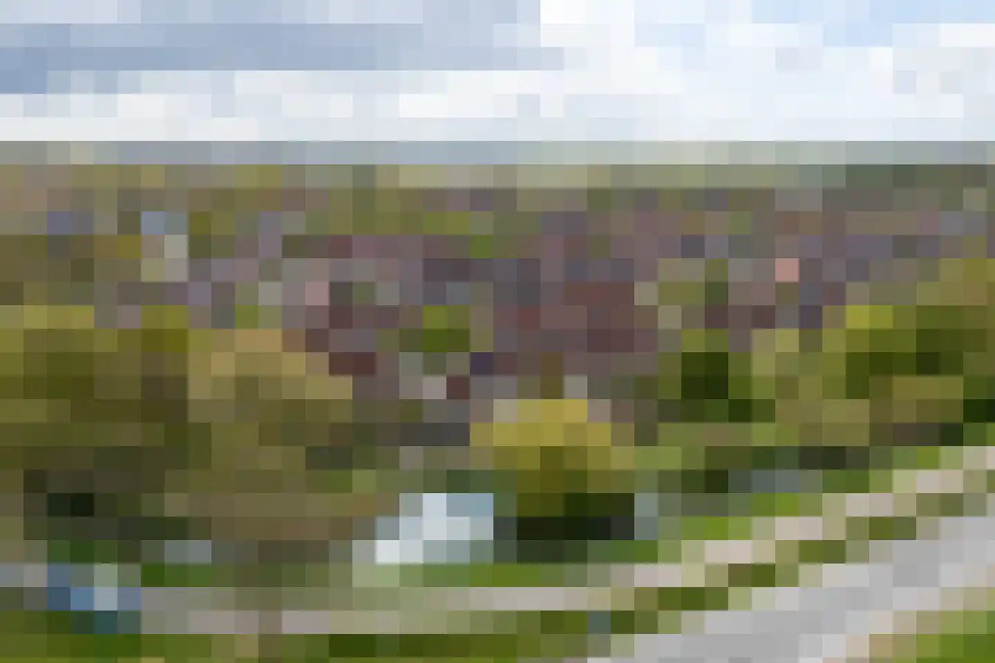 Beerze 96 Wijk bij Duurstede thumbnail 38