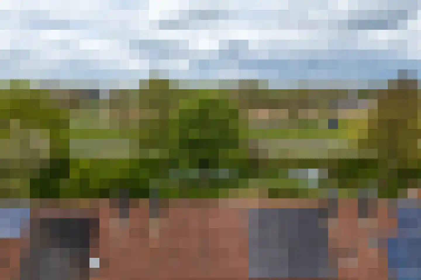 Beerze 96 Wijk bij Duurstede thumbnail 4
