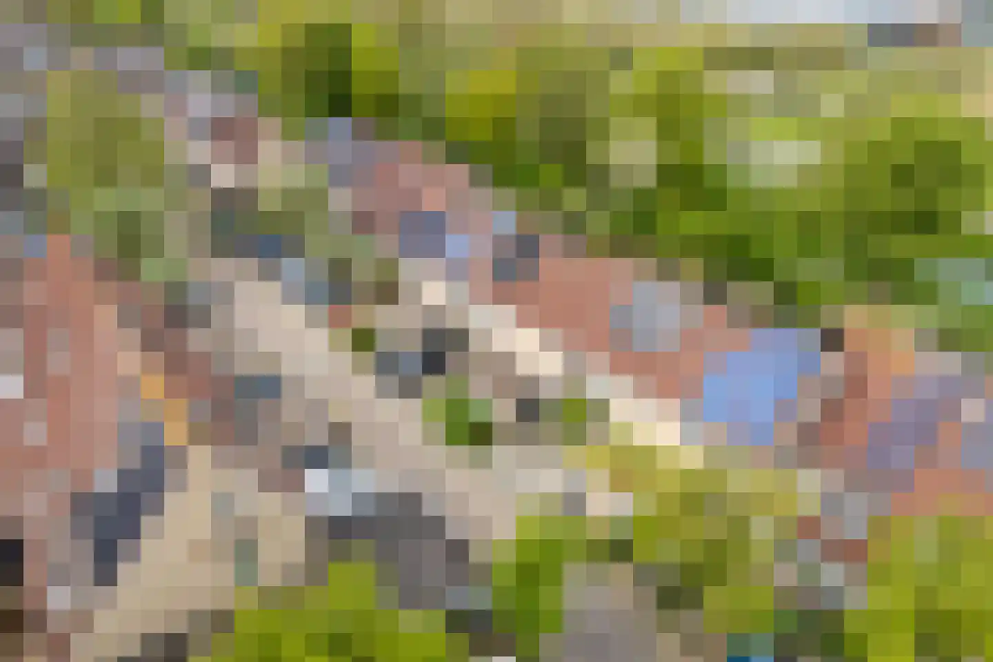 Beerze 96 Wijk bij Duurstede thumbnail 42