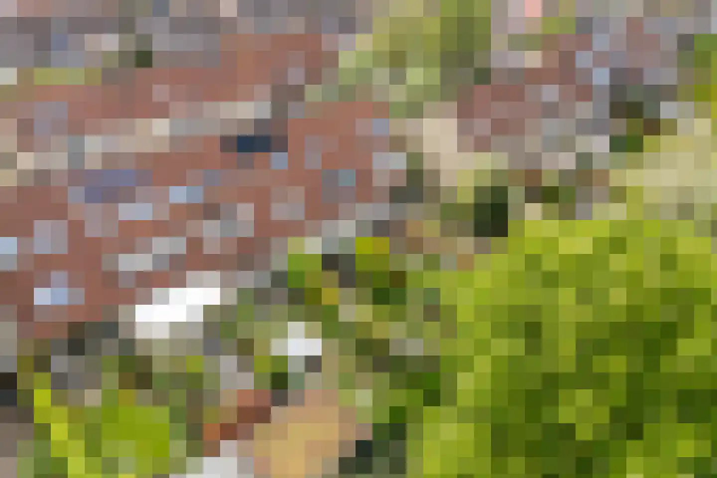 Beerze 96 Wijk bij Duurstede thumbnail 44