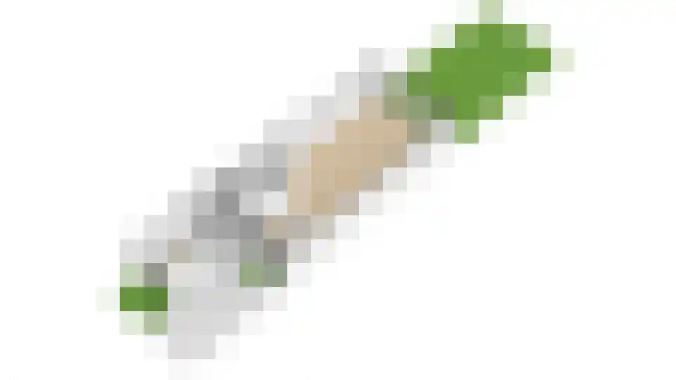 Beerze 96 Wijk bij Duurstede thumbnail 46