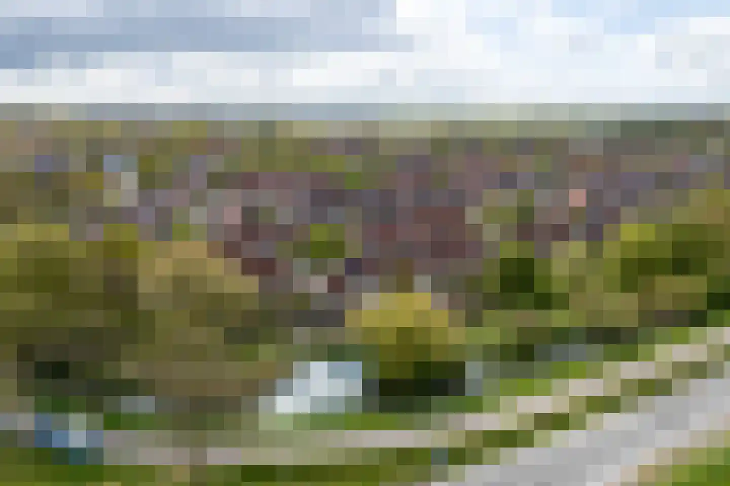 Beerze 96 Wijk bij Duurstede thumbnail 5