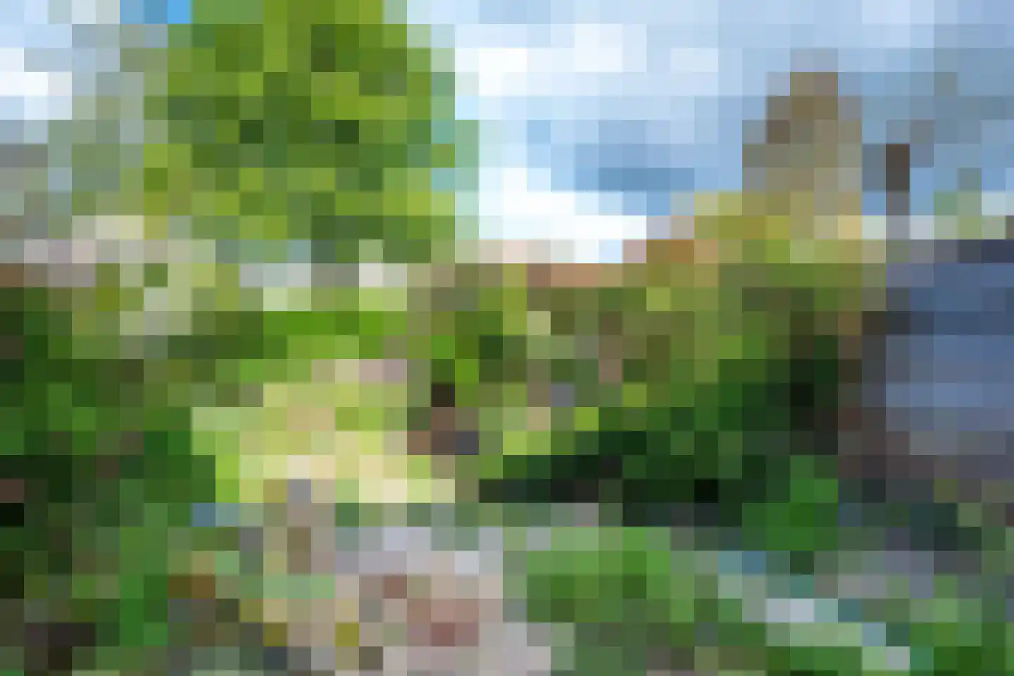 Beerze 96 Wijk bij Duurstede thumbnail 9