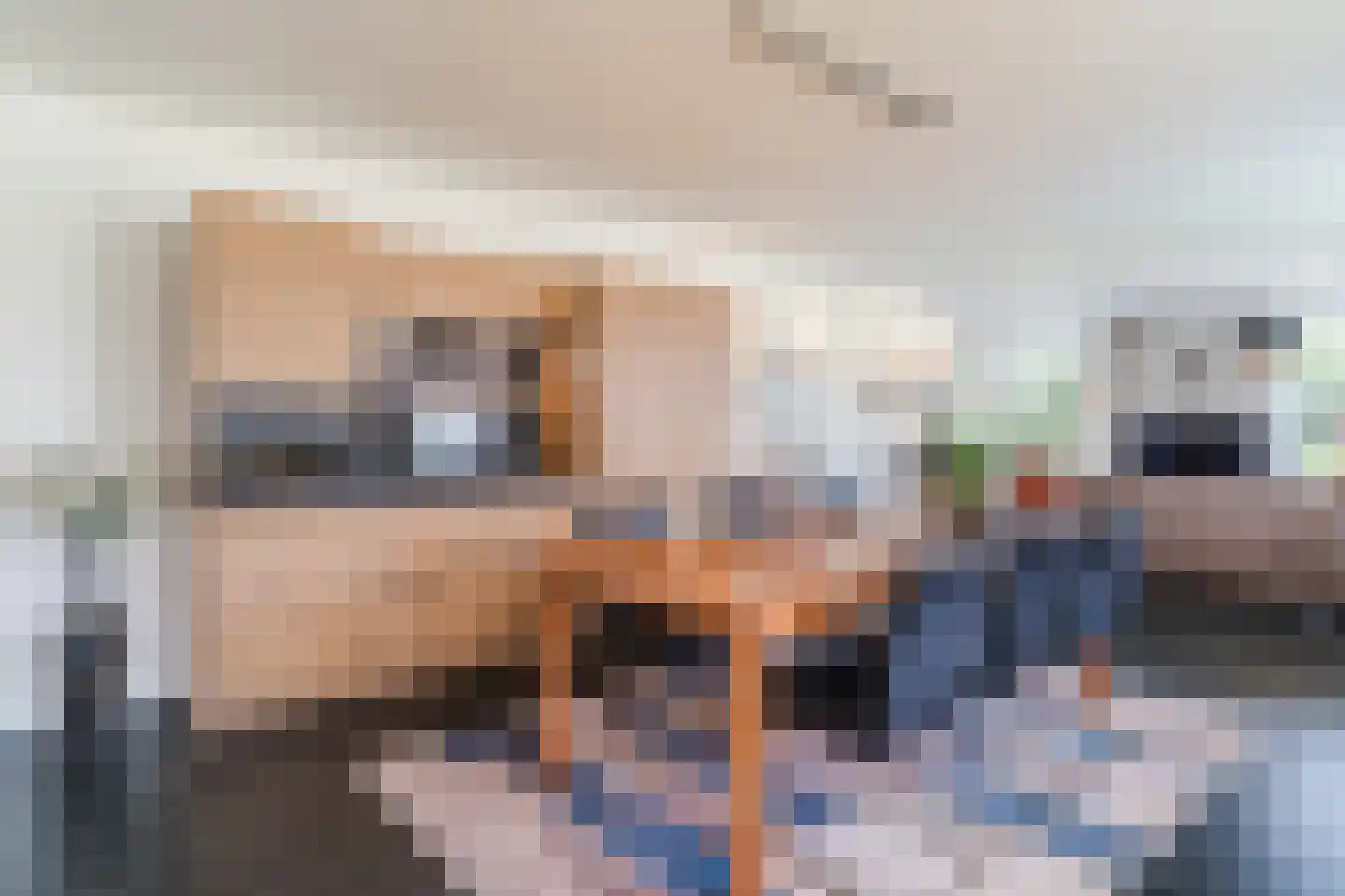 Beerzedal 21 Hapert thumbnail 21