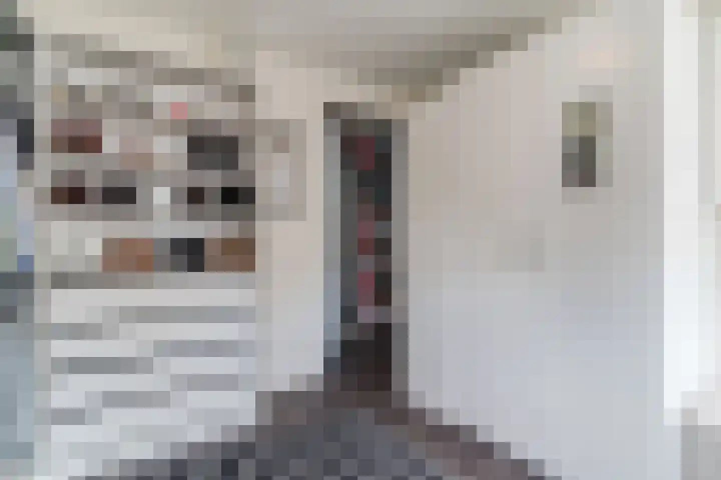 Beerzedal 21 Hapert thumbnail 40