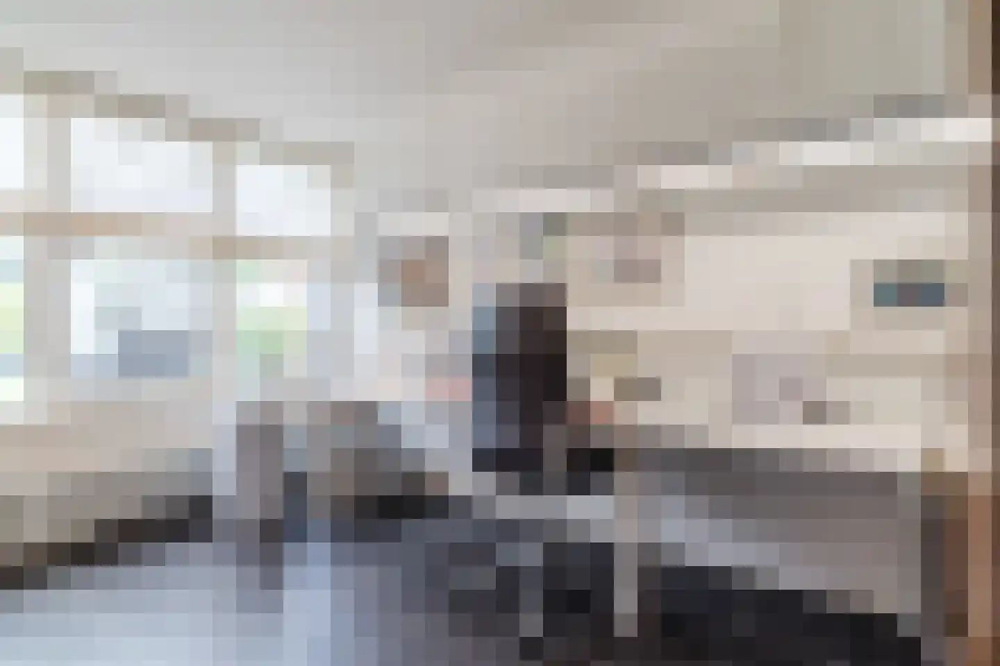 Beerzedal 21 Hapert thumbnail 41