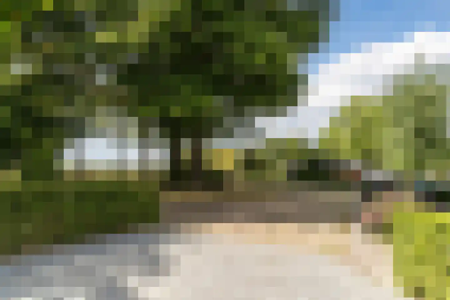 Beerzedal 21 Hapert thumbnail 5
