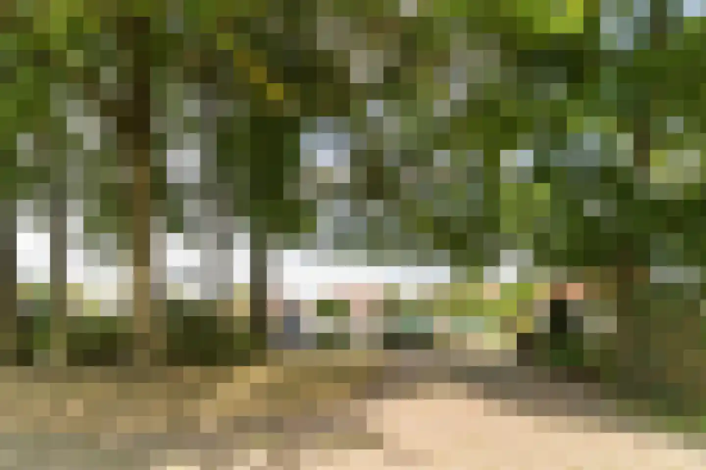 Beerzedal 21 Hapert thumbnail 59