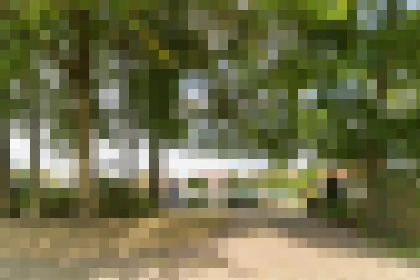 Beerzedal 21 Hapert thumbnail 59