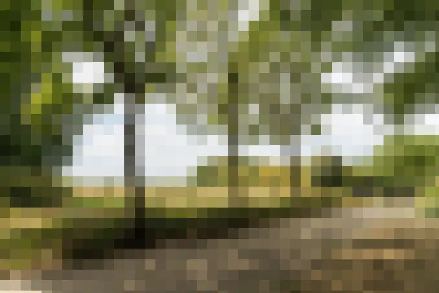 Beerzedal 21 Hapert thumbnail 6