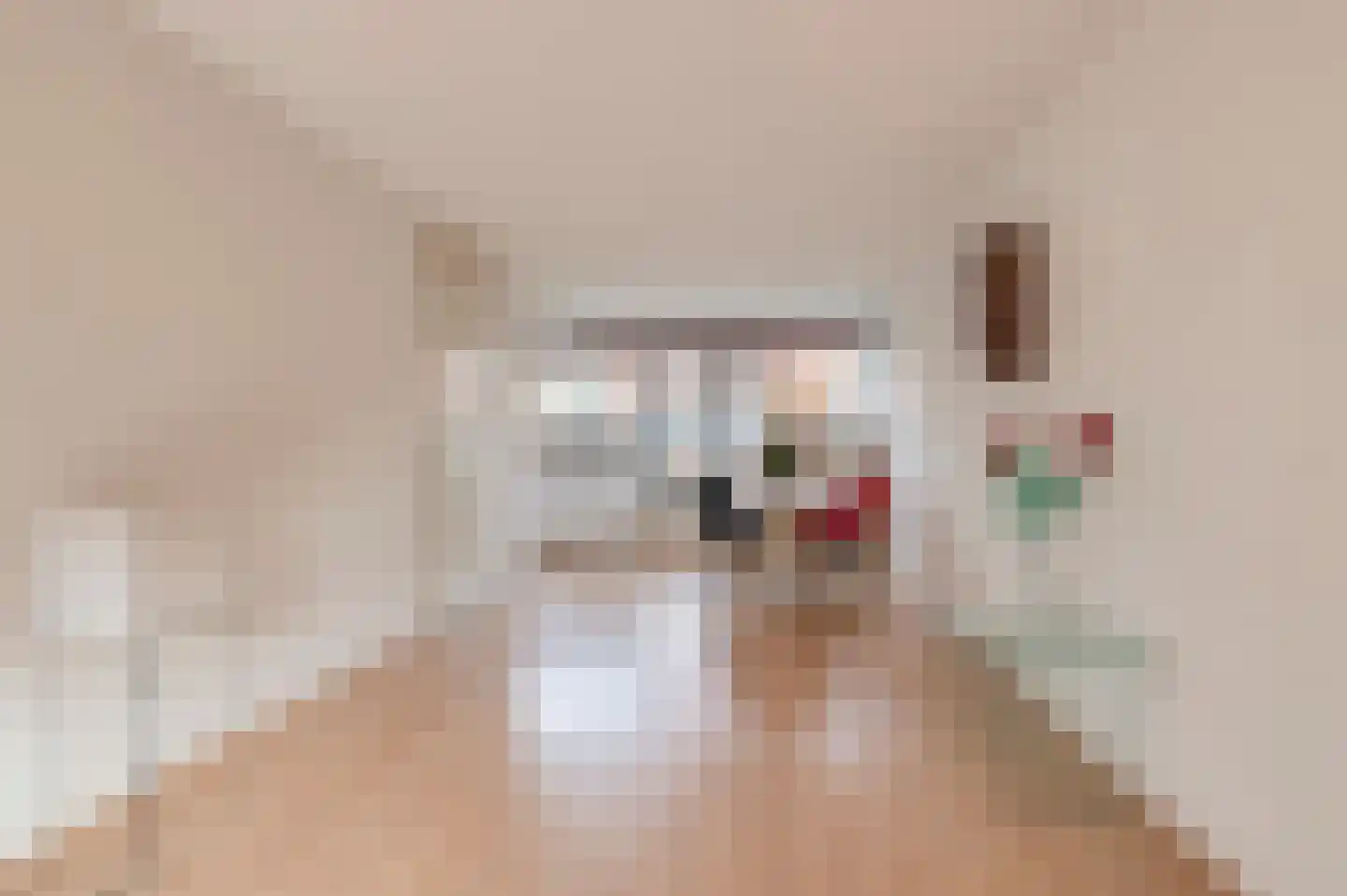 Beerzepad 8 Culemborg thumbnail 14